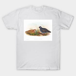 Mountain Quail T-Shirt